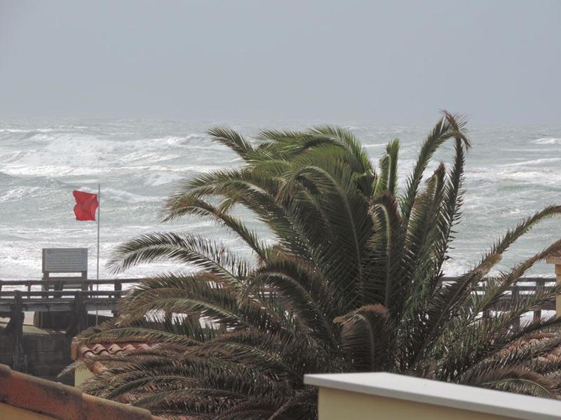 Appartement - 29 m² - 1 pièce