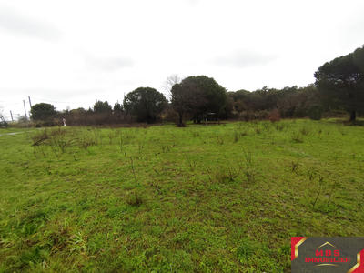 Terrain agricole - 5 200 m²