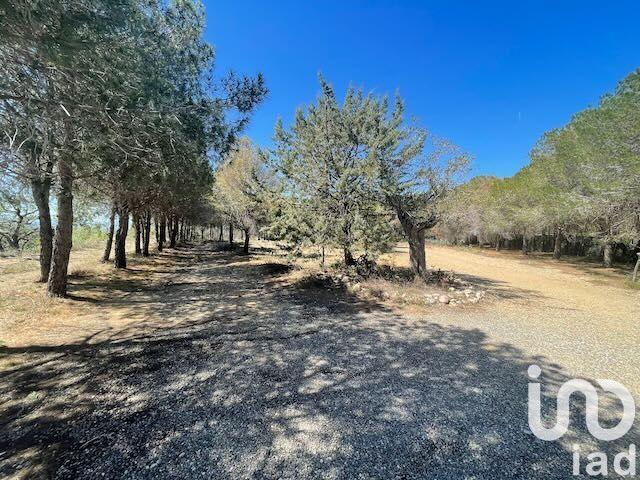 Terrain - 13 930 m²