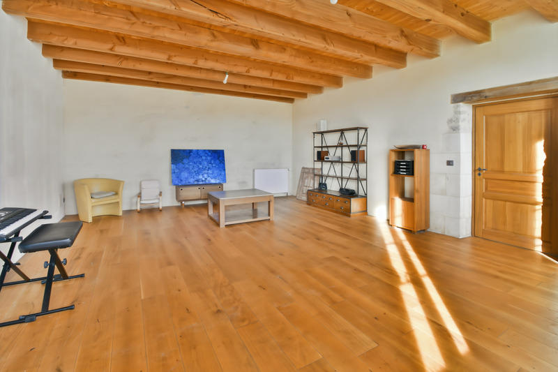 Maison de maîtres - 227 m² - 7 pièces