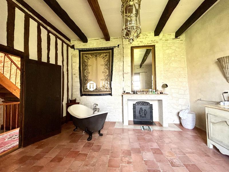 Maison de domaine - 800 m² - 14 pièces