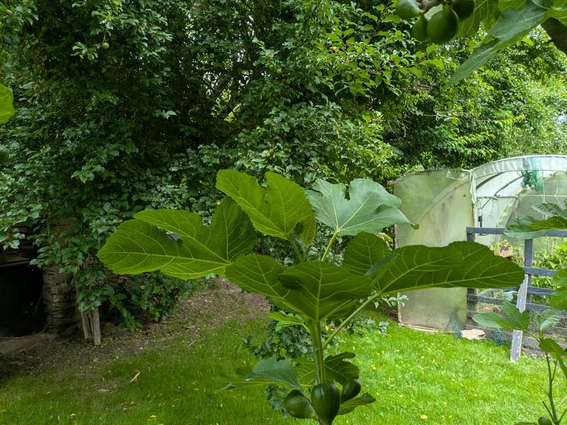 Maison - 74 m² - 3 pièces