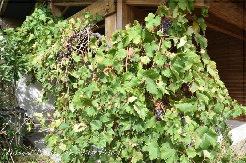 Maison - 185 m² - 6 pièces