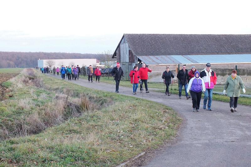 Marche de nuit à Val-de-Moder