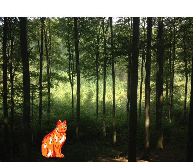 Traces et indices - les habitants sauvages de nos forêts