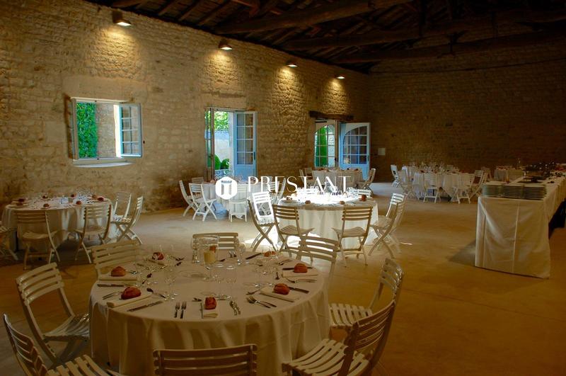 Château - 514 m² - 11 pièces