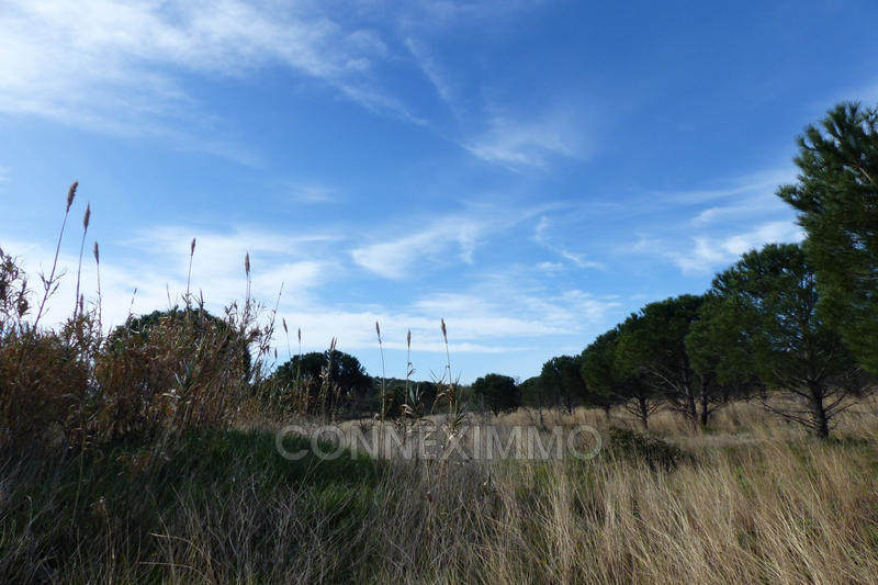 Terrain agricole - 12 250 m²