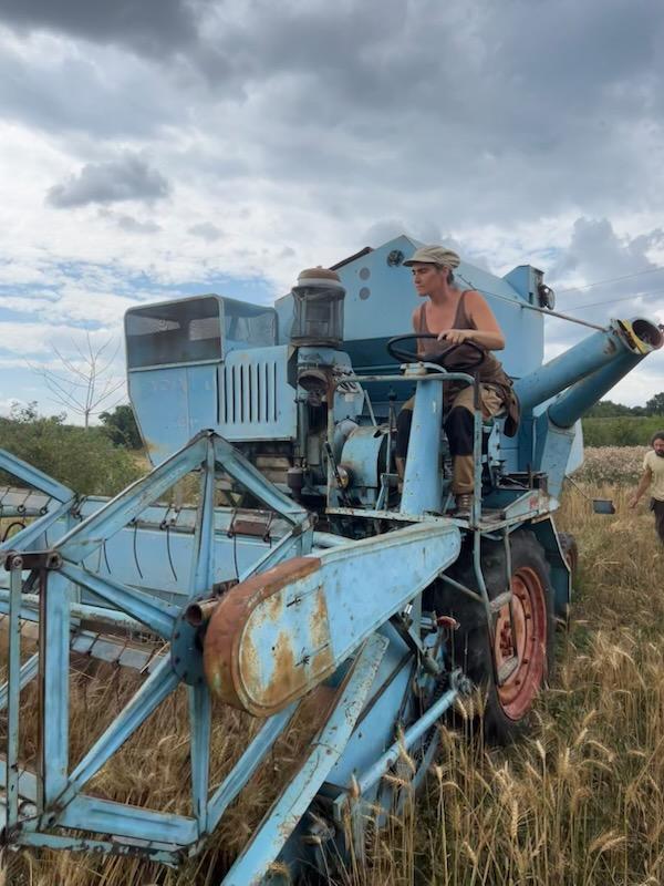Du grain au pain, du champ au fournil !