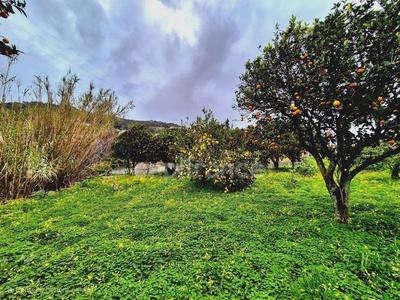 Terrain constructible - 1 348 m²