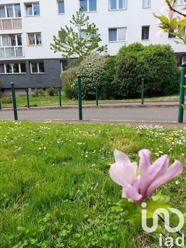 Appartement - 55 m² - 3 pièces