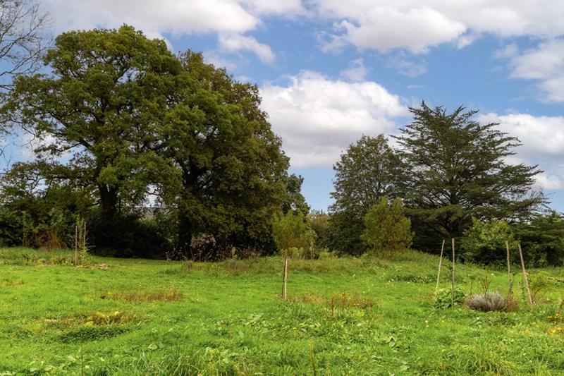 Maison - 303 m² - 12 pièces