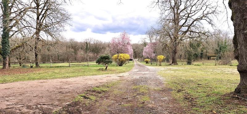 Propriété - 346 m² - 14 pièces