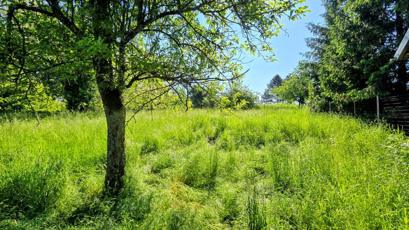 Maison en pierre - 94 m² - 4 pièces