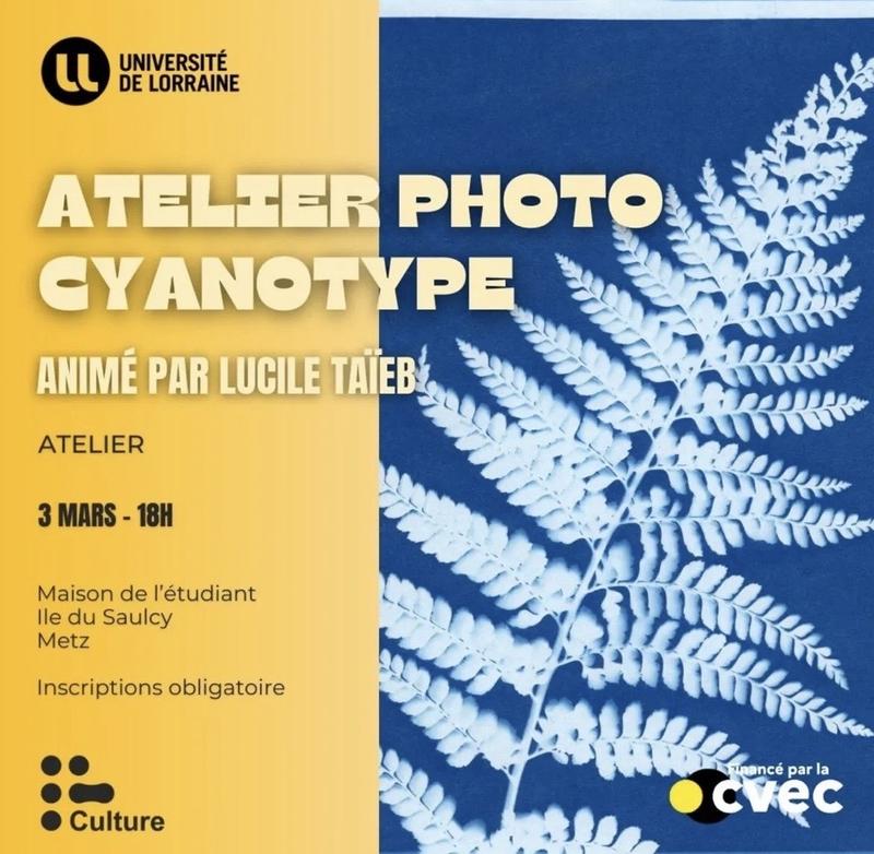 Atelier photo cyanotype