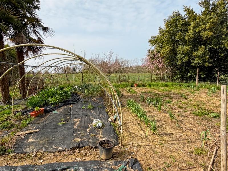 Maison traditionnelle - 250 m² - 9 pièces