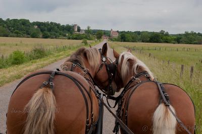 Raclette en calèche