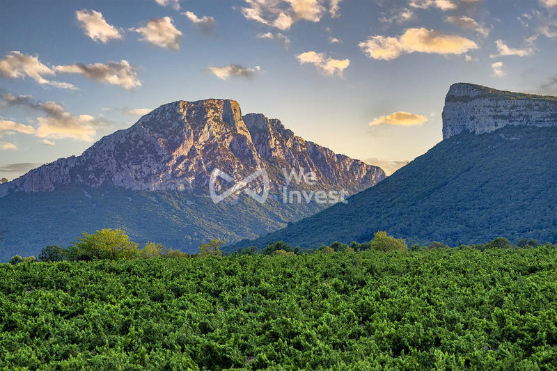 Villa - 212 m² - 6 pièces