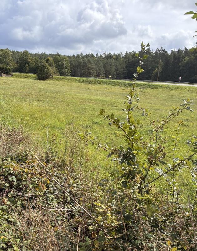 Terrain constructible - 6 263 m²