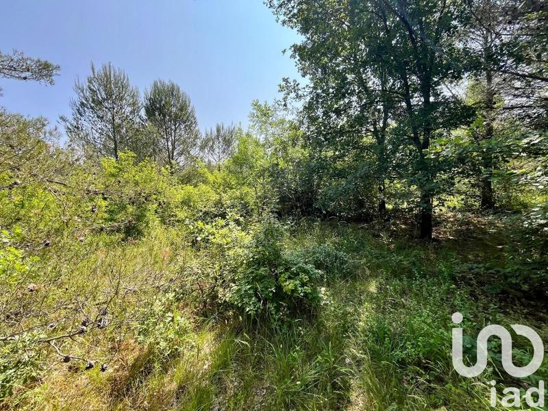 Terrain agricole - 12 527 m²