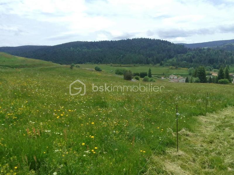 Maison - 151 m² - 4 pièces