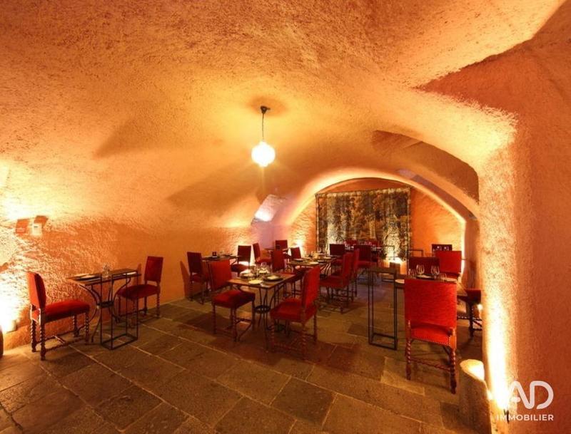 Château - 700 m² - 21 pièces