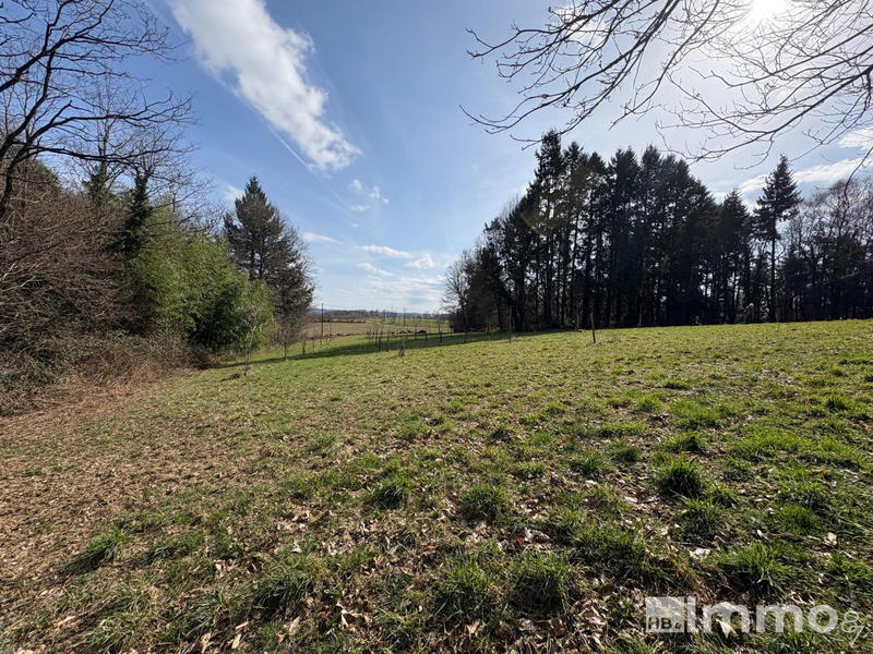 Terrain agricole - 4 905 m²