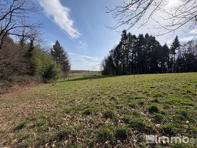 Terrain agricole - 4 905 m²