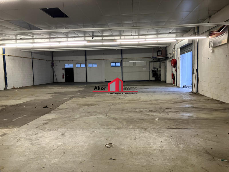 Local commercial - 515 m²