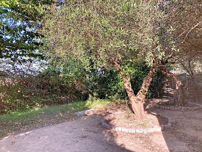 Maison - 210 m² - 4 pièces