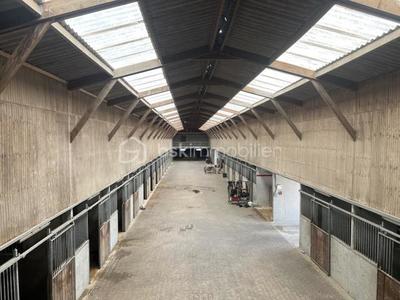 Maison de domaine équestre - 800 m² - 25 pièces