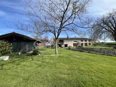 Maison en pierre - 160 m² - 9 pièces