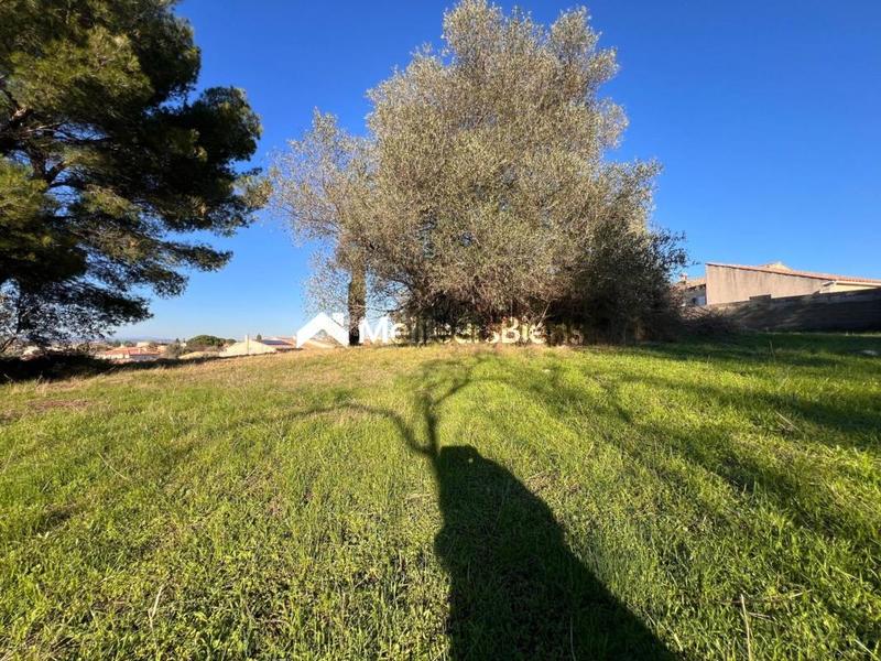 Terrain constructible - 1 030 m²