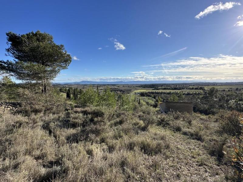 Terrain de loisirs - 10 189 m²