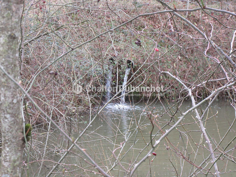 Terrain de loisirs - 17 000 m²