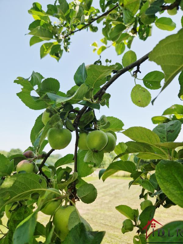 Gîte - 38 m² - 2 pièces