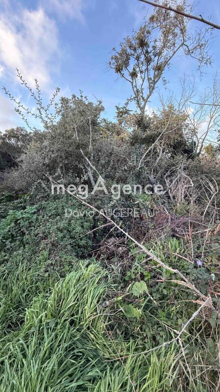Terrain constructible - 498 m²