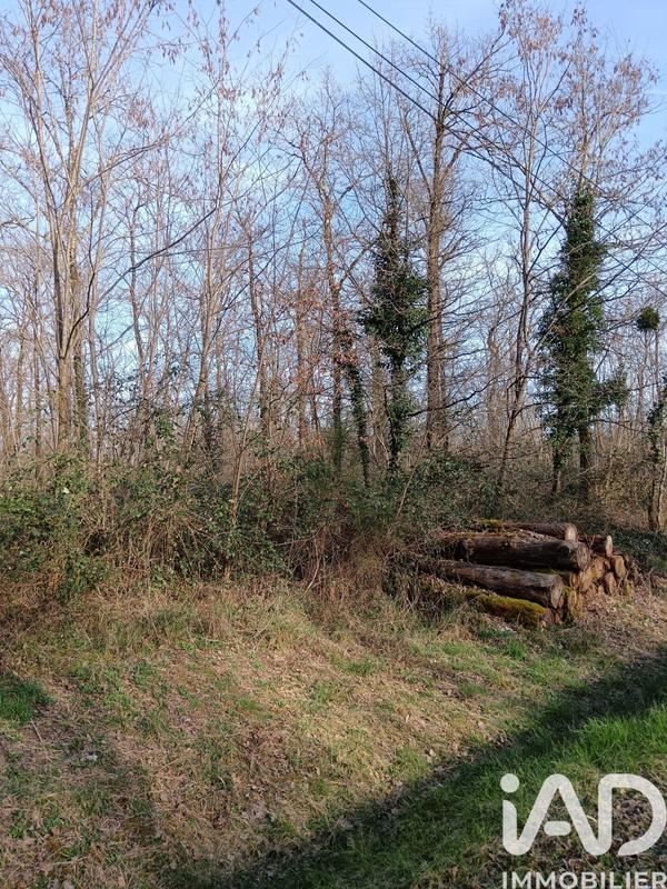 Terrain - 24 045 m²