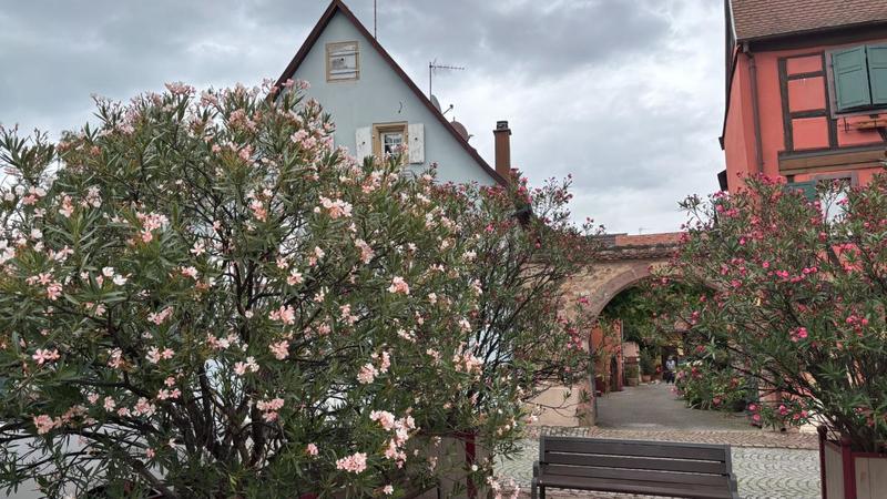 Maison - 173 m² - 6 pièces