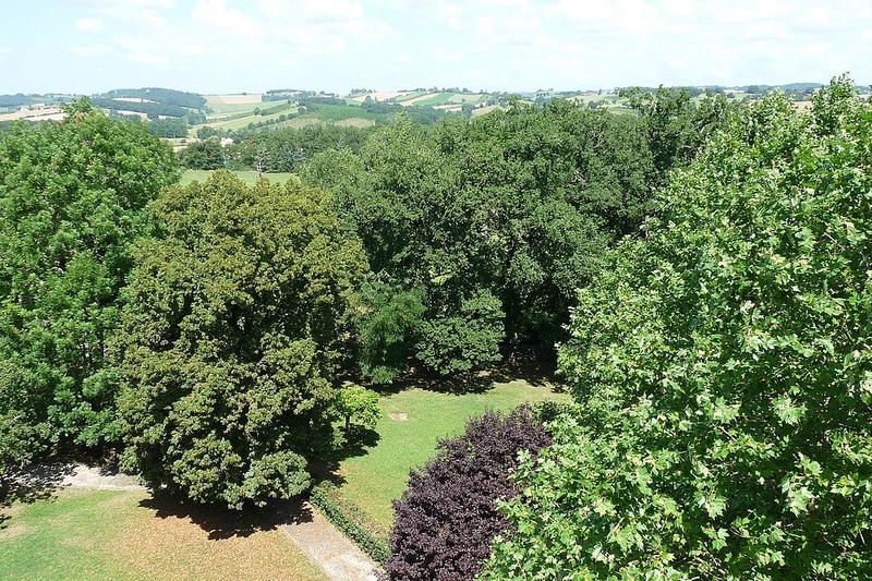 Château - 3 000 m² - 50 pièces