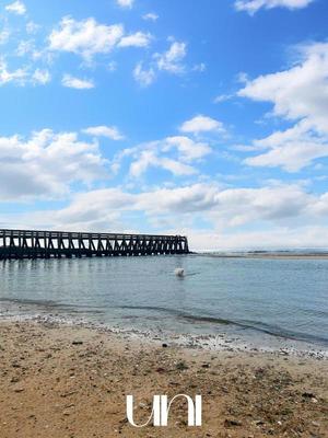 Appartement - 29 m² - 1 pièce