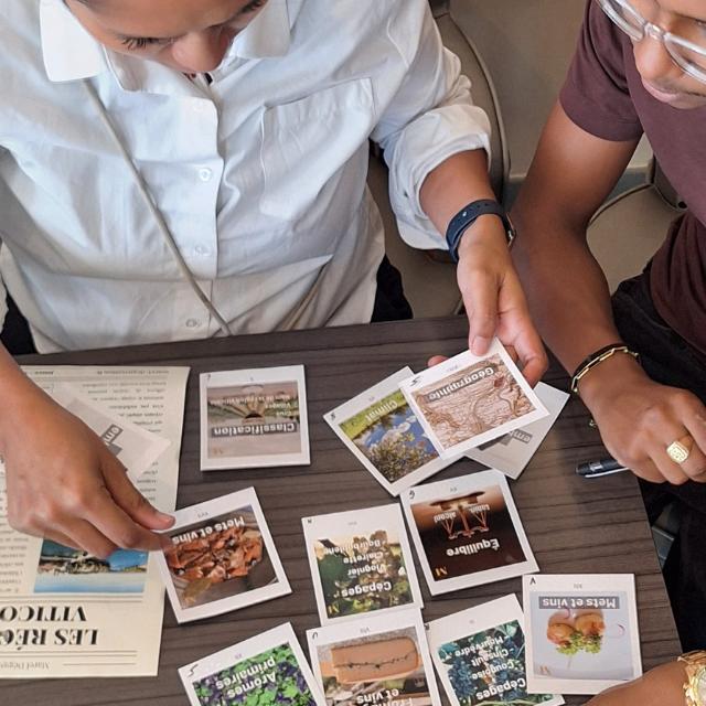 Wine gaming au Domaine viticole de l'Anchois