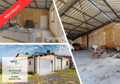 Maison de village - 220 m² - 5 pièces