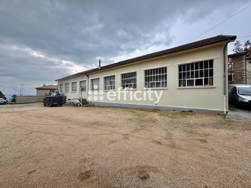 Bureau - 540 m² - 8 pièces