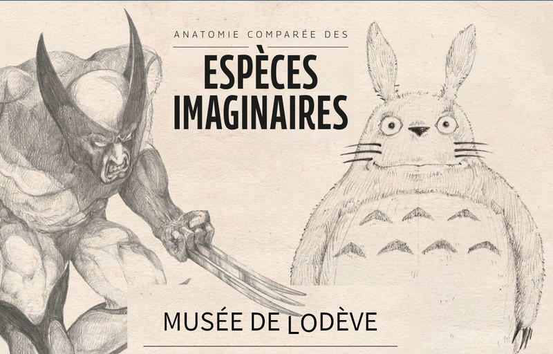 Anatomie Comparée des Espèces Imaginaires