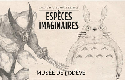 Anatomie Comparée des Espèces Imaginaires