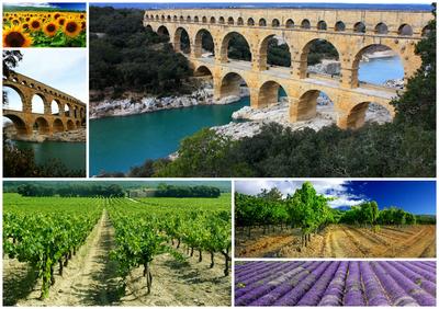 Le marché bio de Célinette