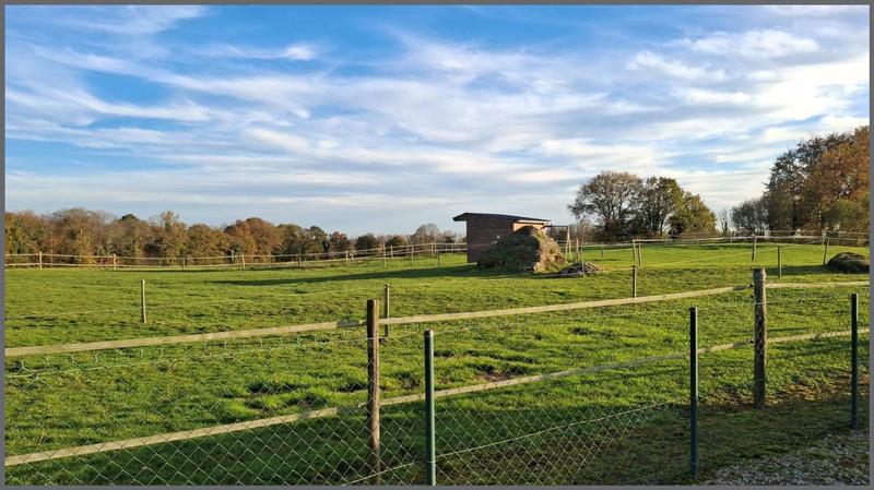 Ferme - 140 m² - 5 pièces