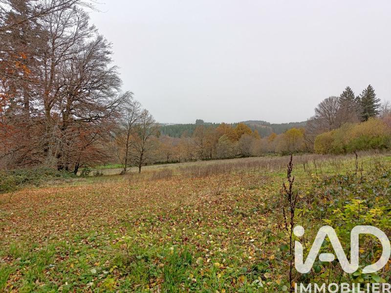 Maison de campagne - 131 m² - 3 pièces