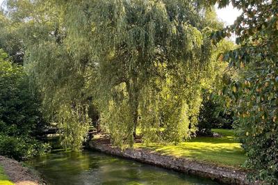 Manoir - 650 m² - 8 pièces