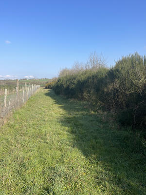 Terrain - 34 900 m²